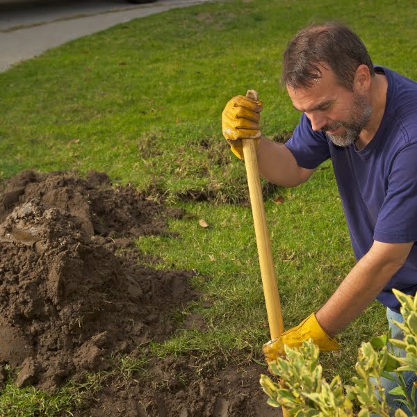 An industrious man utilizing a shovel for landscaping in his yard, demonstrating the importance of proper soil excavation techniques.