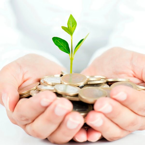 A hand holding a stack of coins, symbolizing financing, with a plant growing out of it to depict growth.