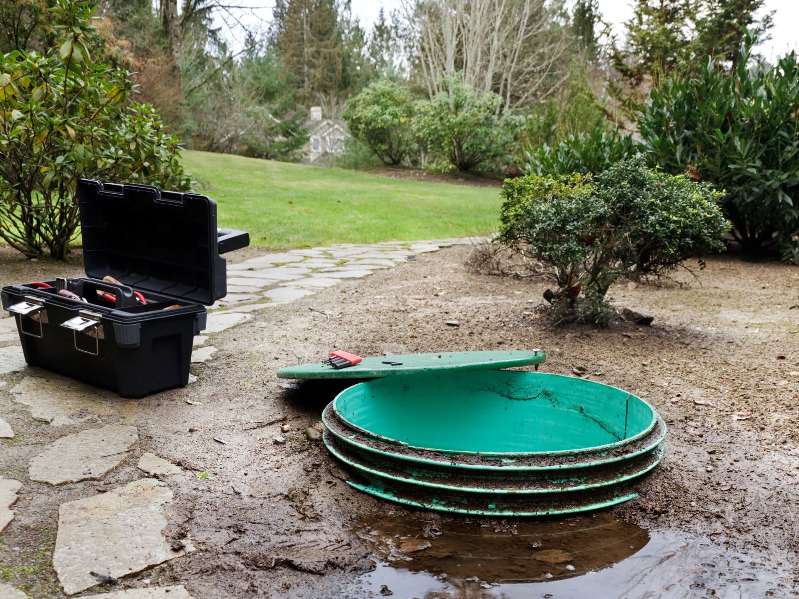 A green bucket sits next to a puddle near a septic tank in a garden.
