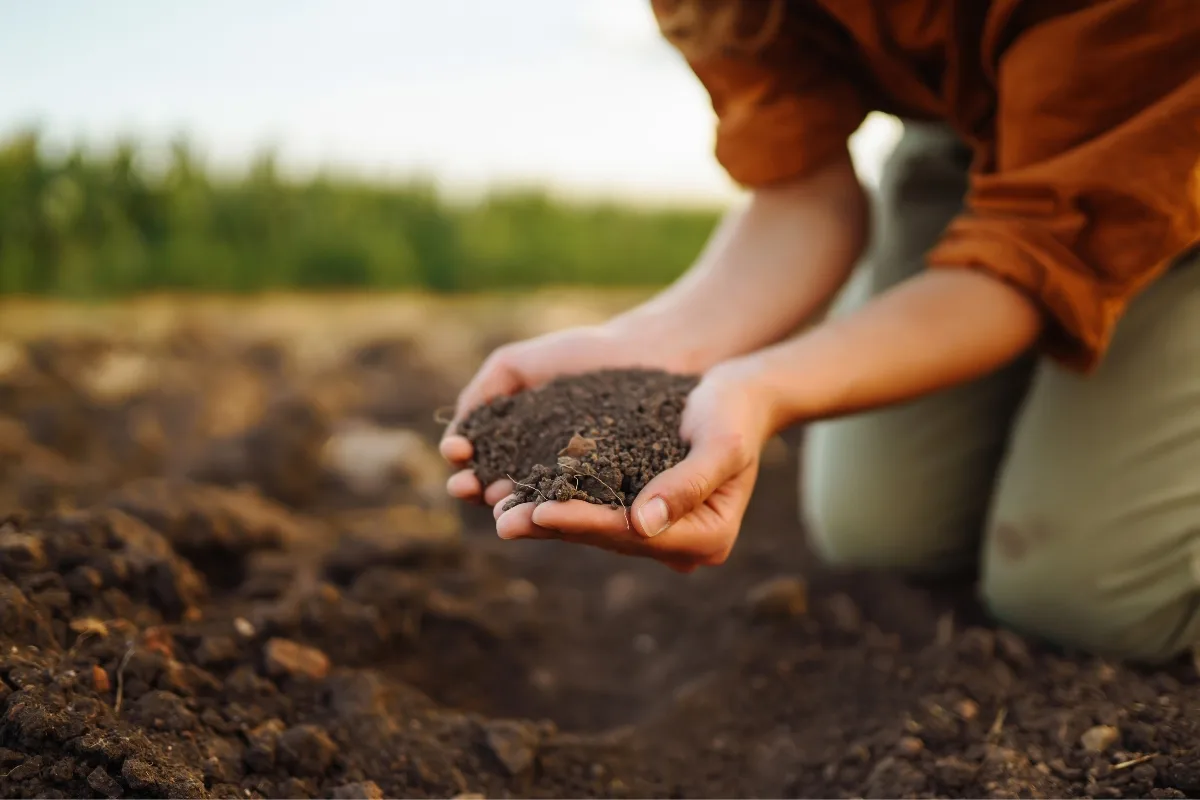 Person kneeling in a field, holding soil in their hands, with blurred greenery in the background, potentially evaluating soil testing for septic systems.