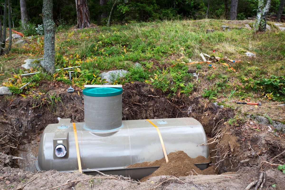 A partially buried septic tank with a green cap is installed in a shallow pit in a wooded outdoor area, surrounded by trees and vegetation, providing easy access for septic system troubleshooting.