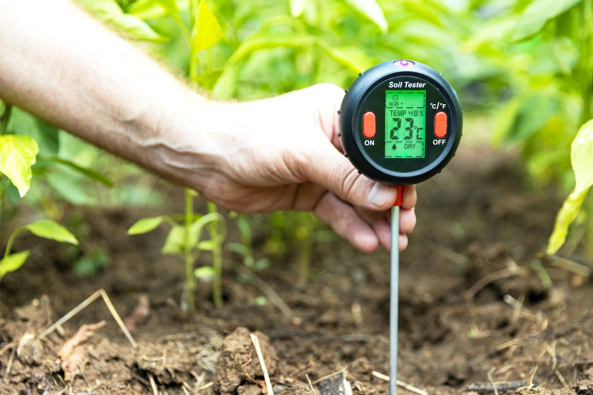 A hand holding a digital soil tester displaying soil temperature and moisture, inserted into the ground among green plants, as if preparing for a percolation test.