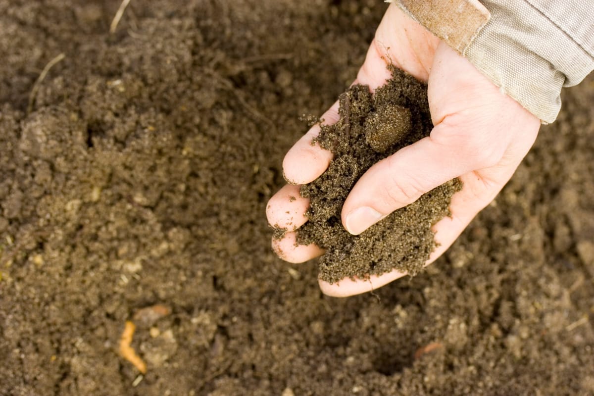 A gloved hand holds a handful of soil over a larger pile, reminiscent of the rich earth essential for an efficient aerobic septic system.