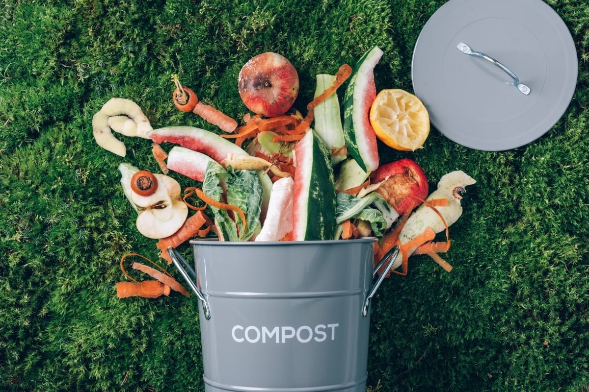 A compost bin overflowing with fruit and vegetable scraps sits on a green mossy surface, reminiscent of nature’s own septic cleaning system. The lid is off to the side.