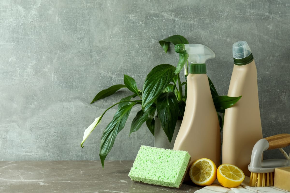 Cleaning products and tools, including spray bottles, a sponge, lemon halves, and a brush, are arranged in front of a green plant on a textured surface. These eco-friendly items contribute to efficient septic cleaning while maintaining a fresh and natural aesthetic.