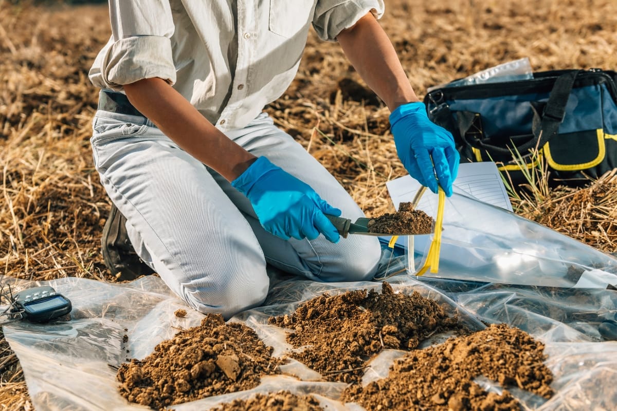 The person, adhering to septic drain field requirements, collects soil samples into bags while donning blue gloves, with tools and a notebook meticulously placed nearby.