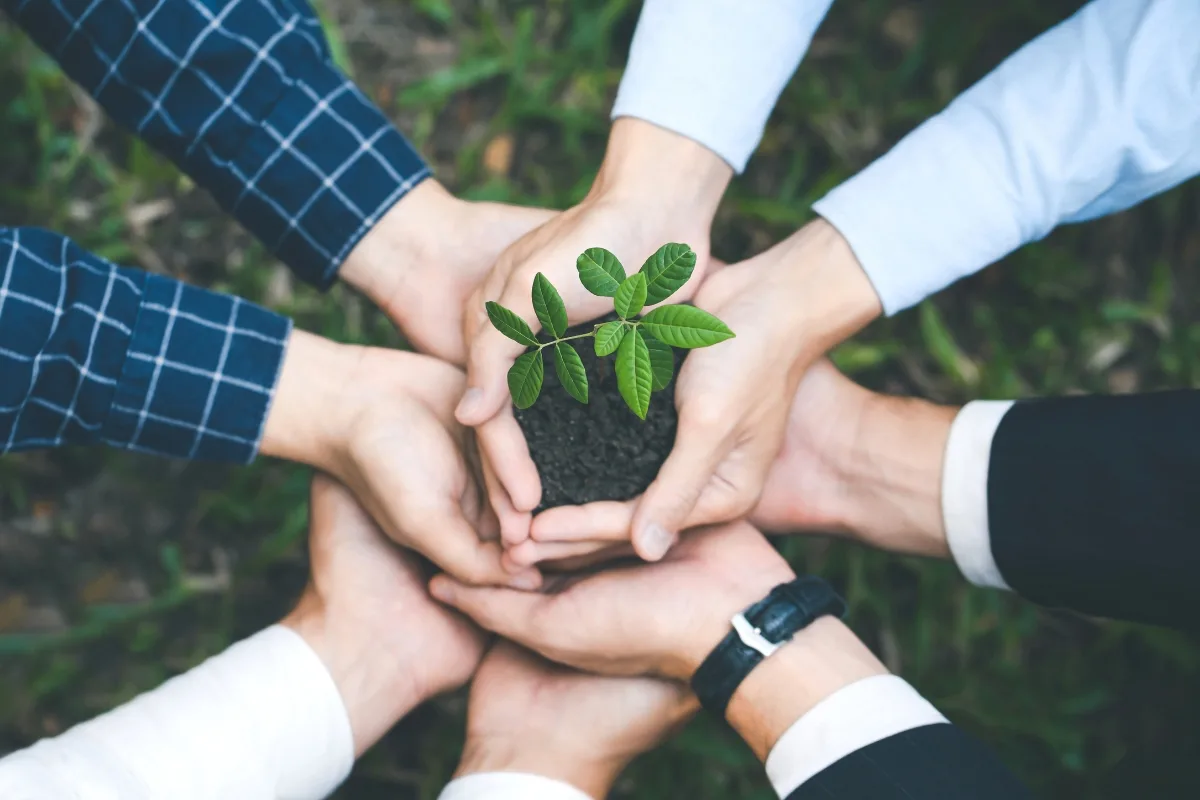 Strategies for Septic Systems to Lower Nitrogen Pollution 6 Several hands holding soil with a small plant, symbolizing teamwork and growth, highlight the importance of combating nitrogen pollution for a healthier ecosystem.
