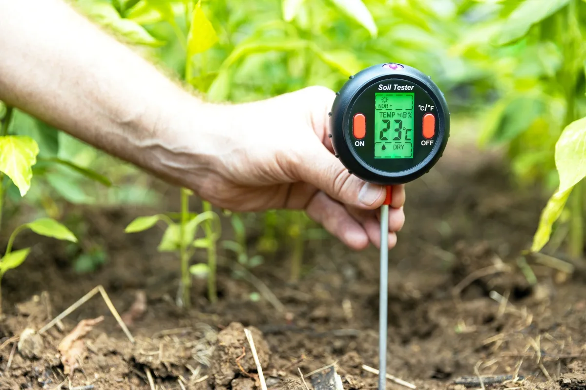 Hand holding a soil tester displaying a temperature of 23.6&deg;C and dry moisture level, inserted in soil near lush green plants, ideal for monitoring areas around septic system leach fields.
