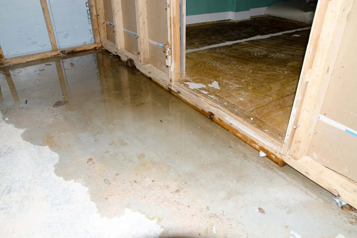 Warning Signs Your Septic Tank Needs Pumping 5 A room with exposed wooden framing shows water leakage on the concrete floor, seeping from an adjoining room with partially removed flooring. These might be signs your septic tank needs pumping, as overflow can lead to moisture appearing where it shouldn’t.